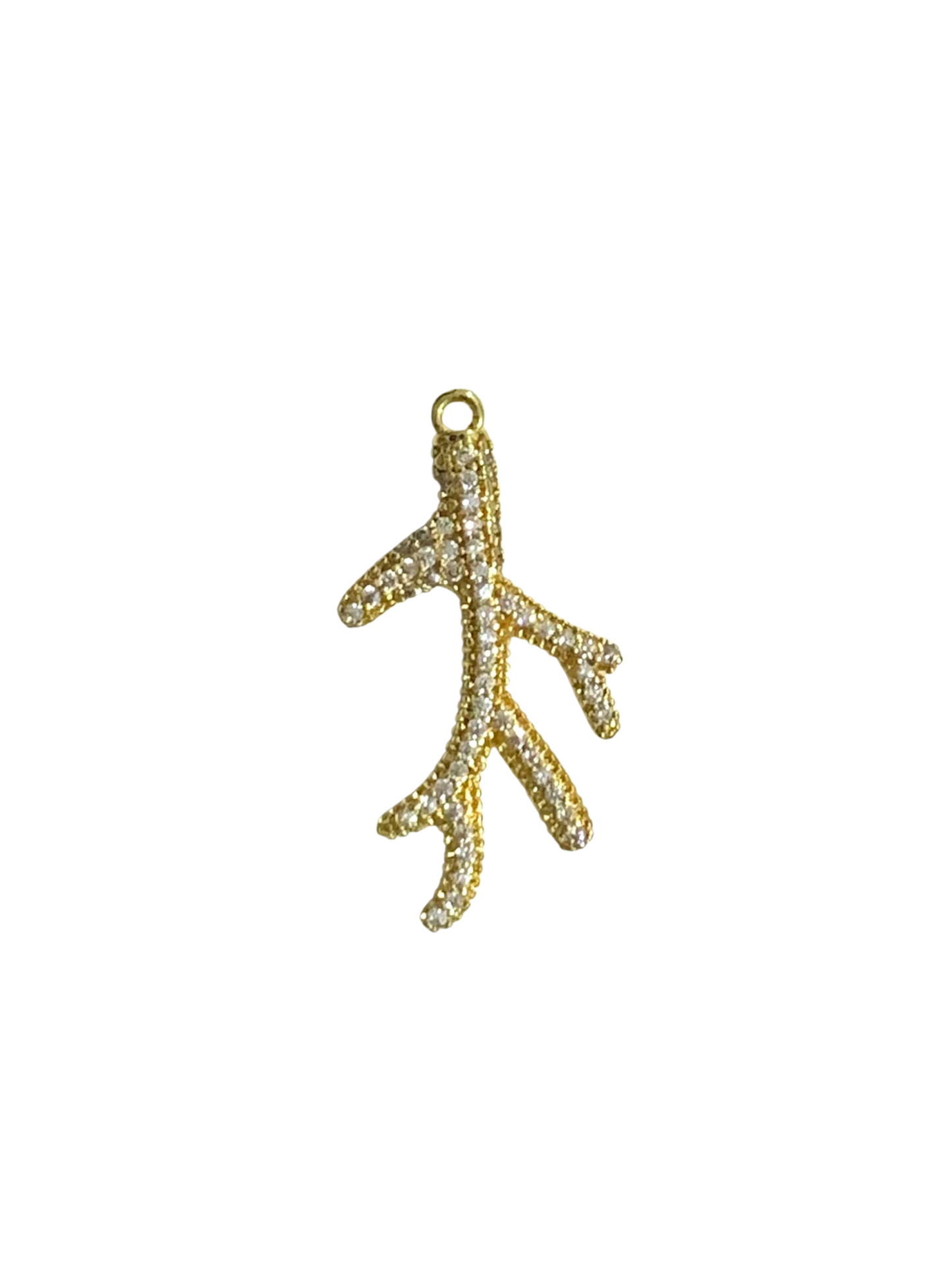 White coral