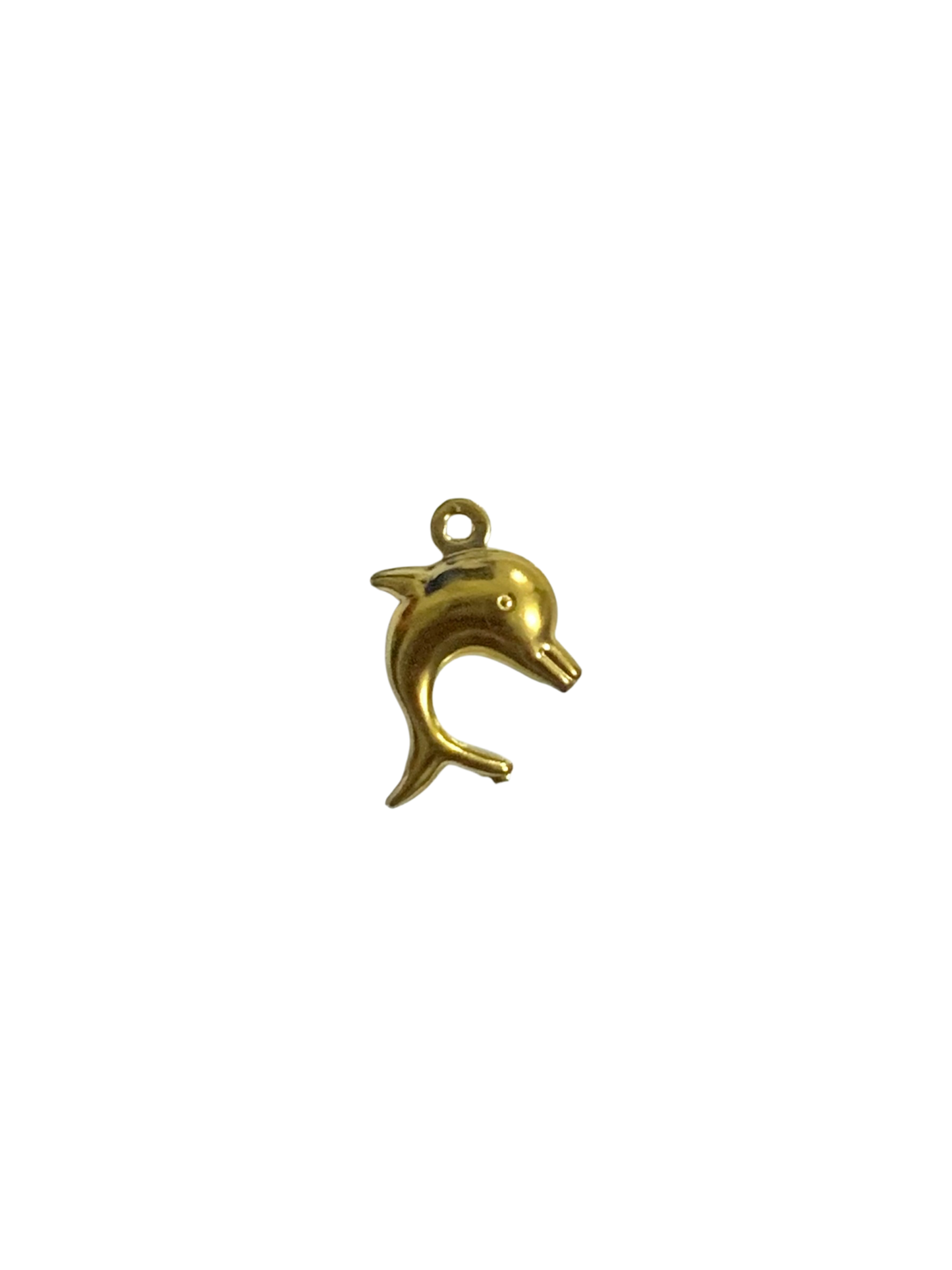Dolphin