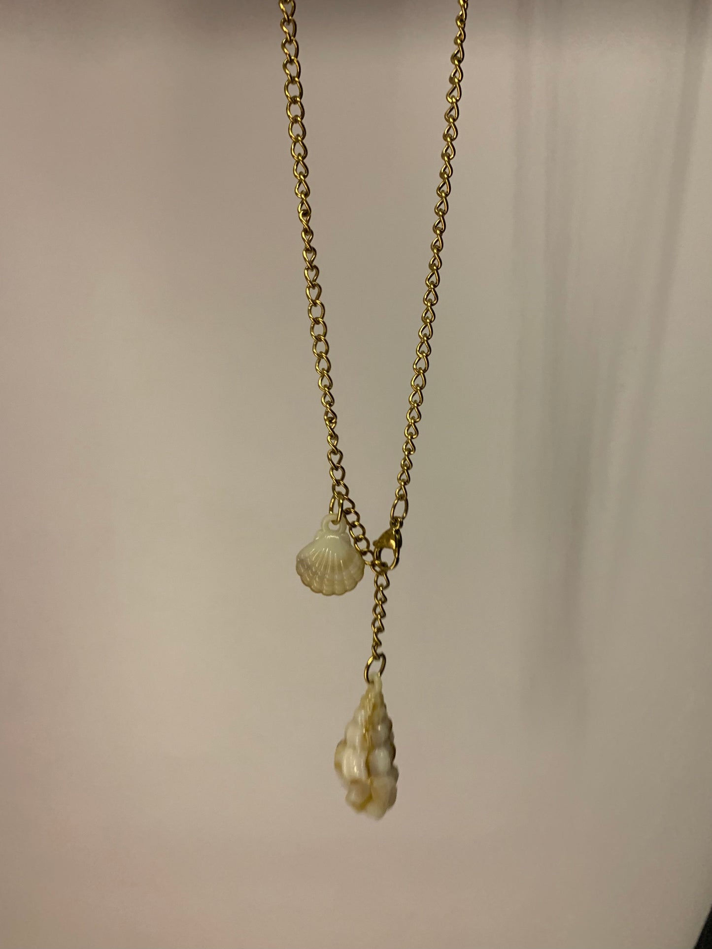 Seashells belt