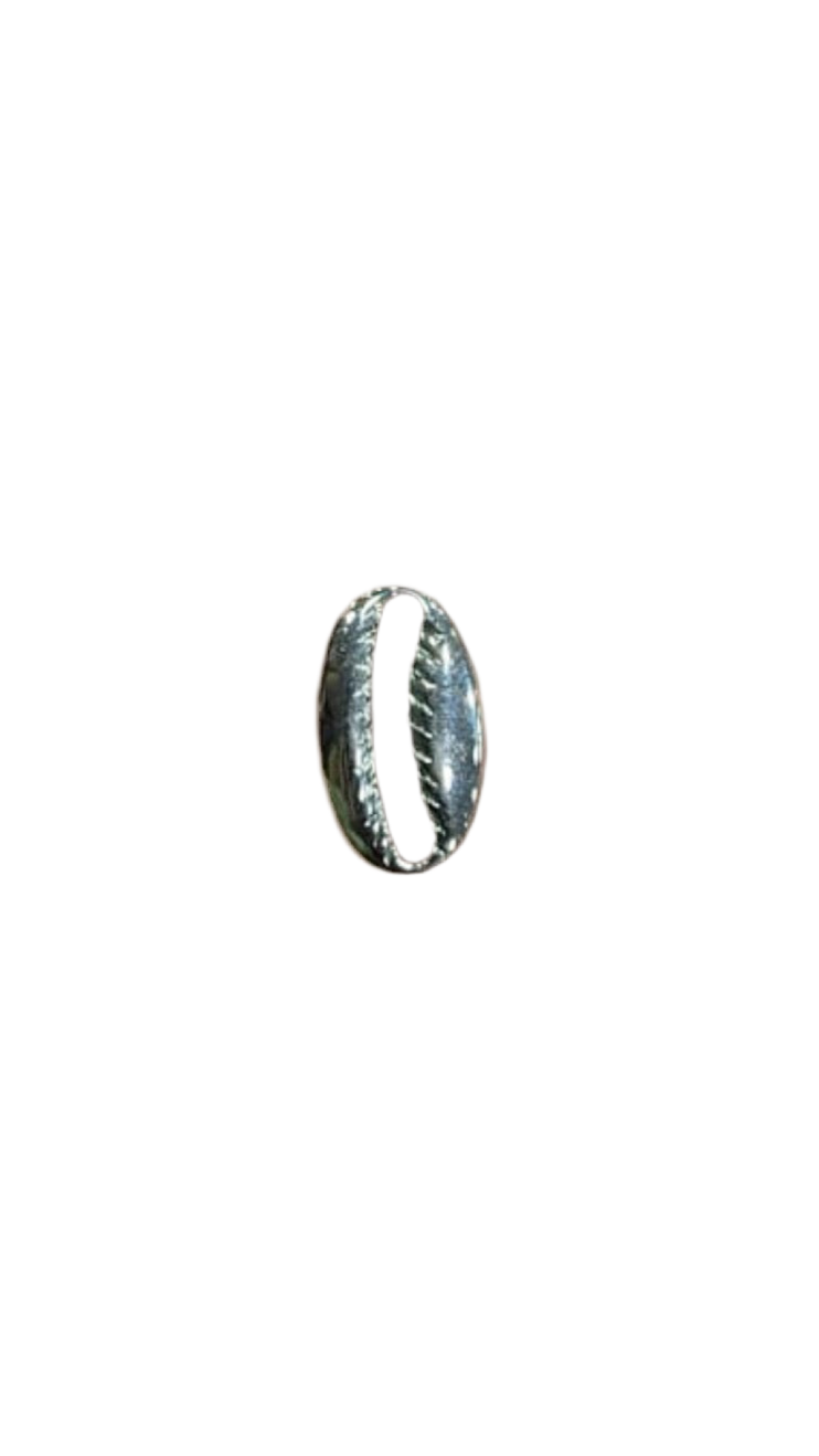 Silver shell