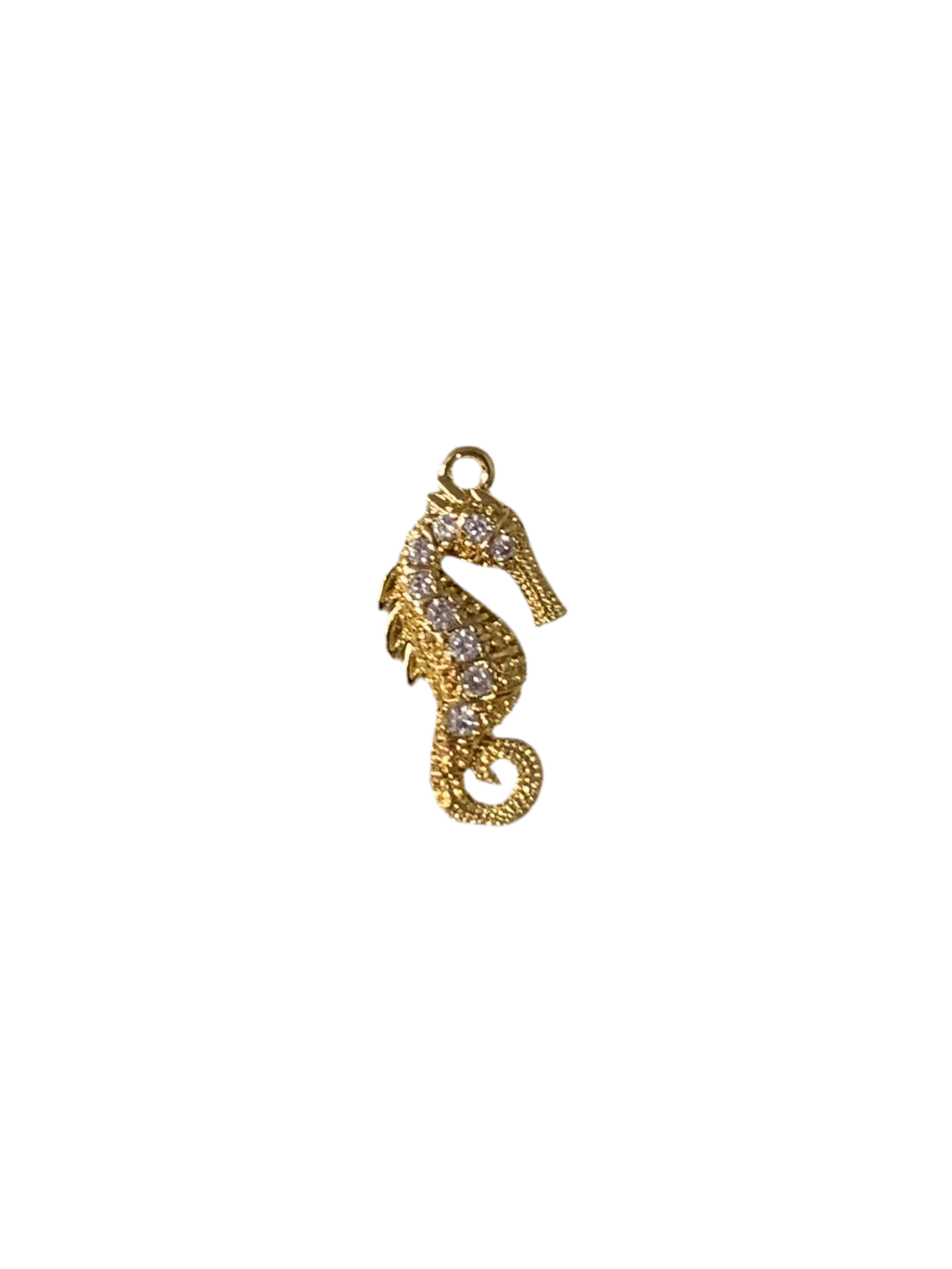 Seahorse