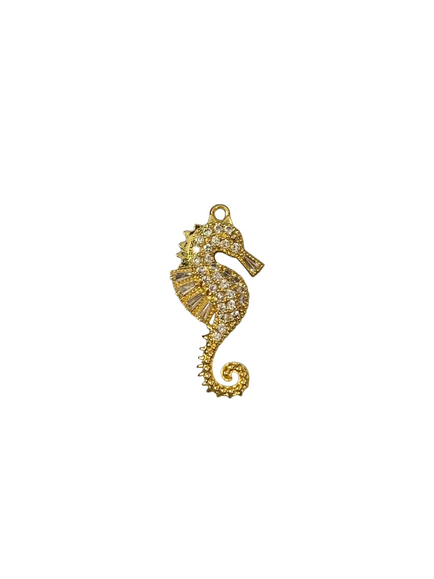 Big seahorse