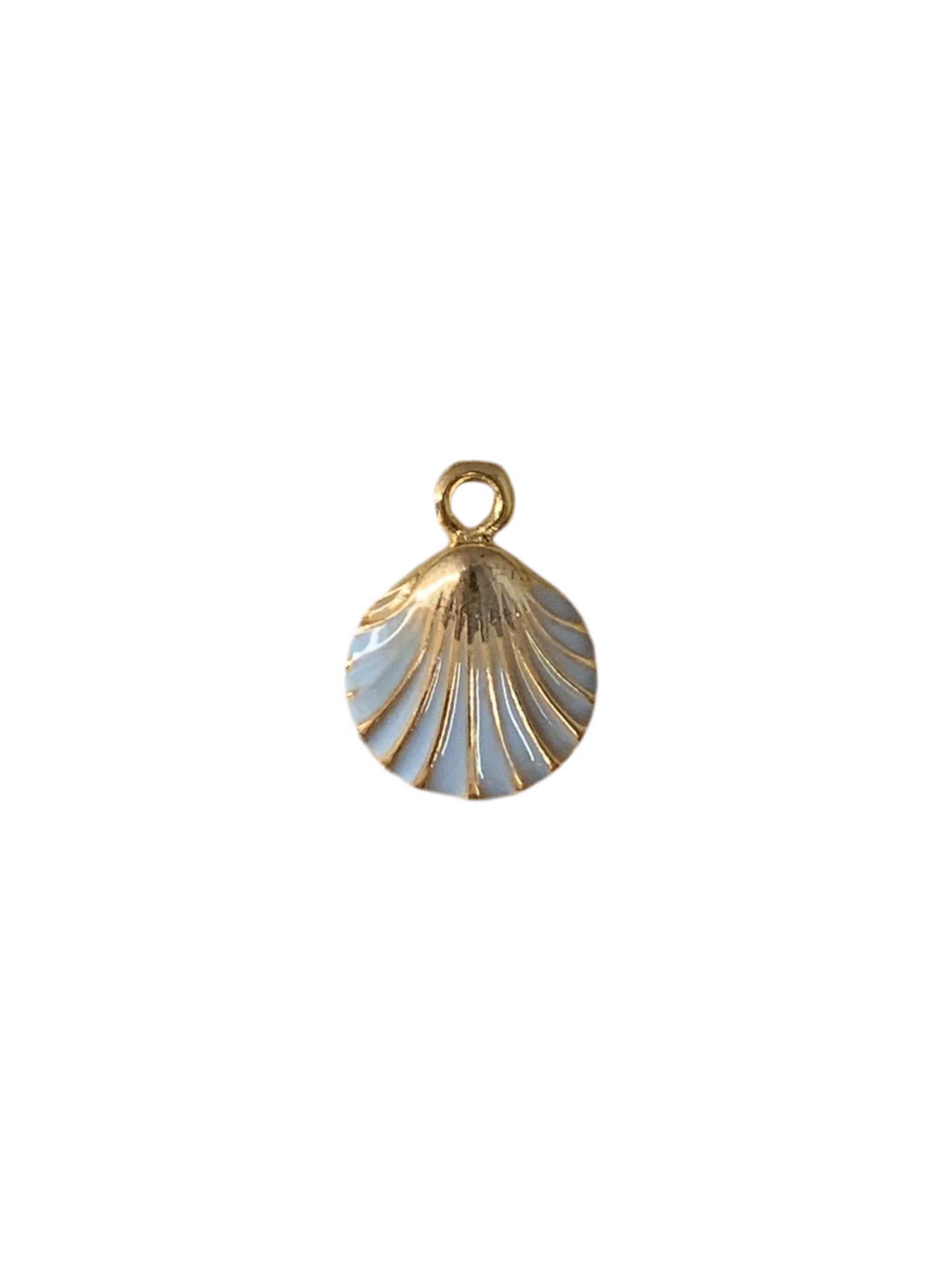Blue seashell
