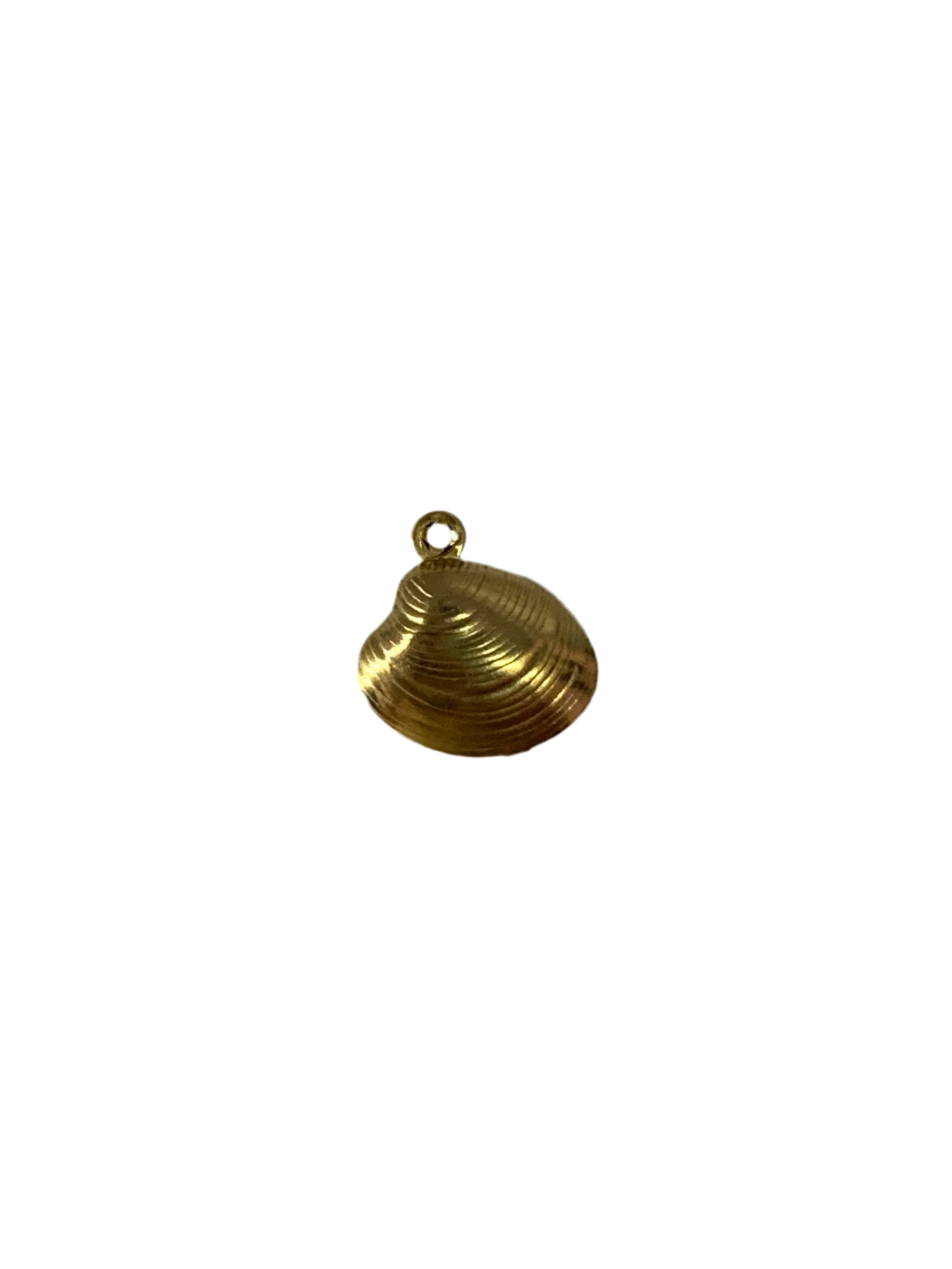 Golden Shell