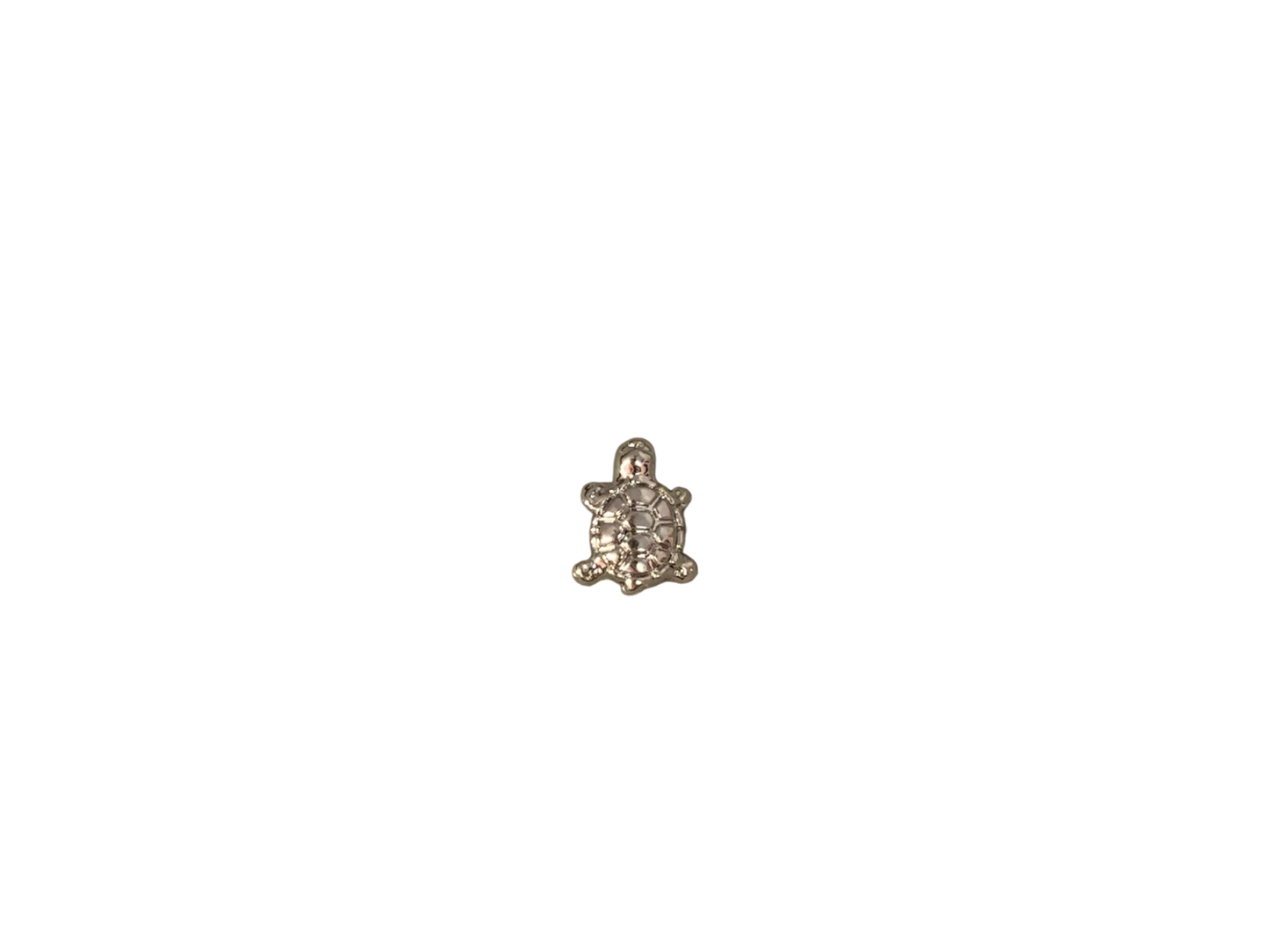 Mini turtle