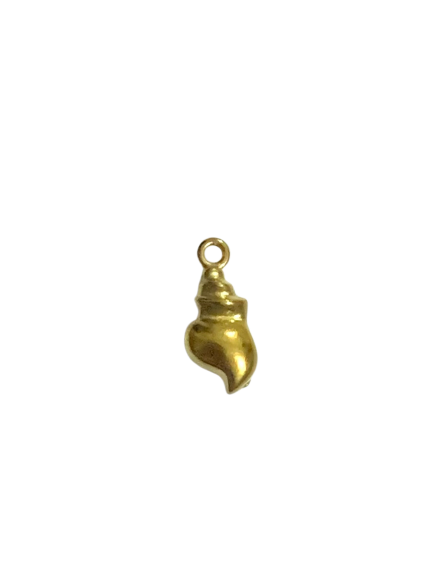 Mini conch
