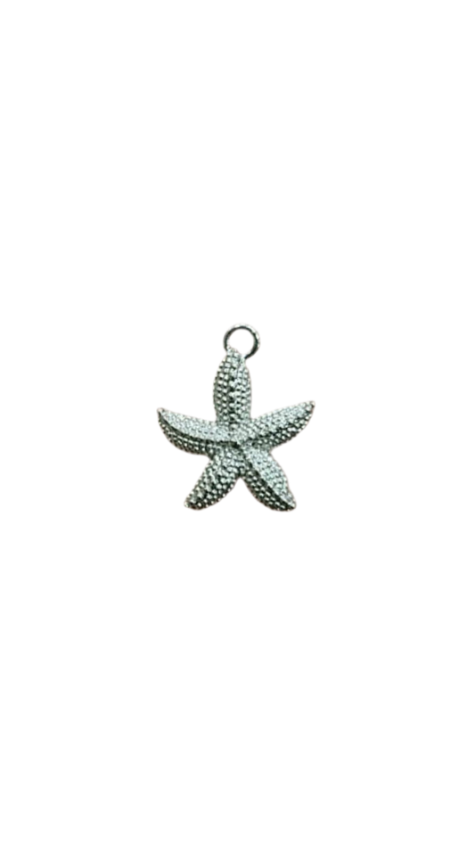 Silver starfish