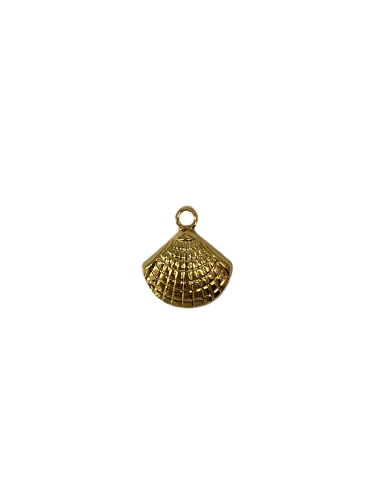 Seashell