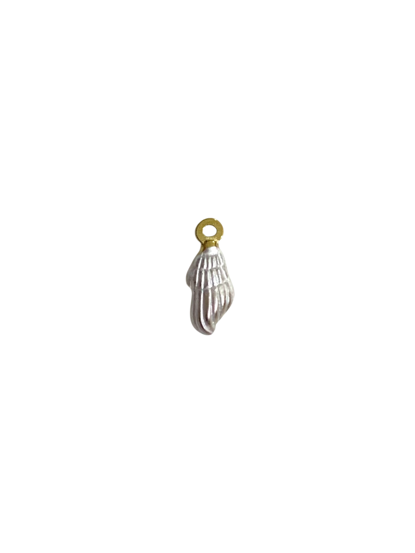 White conch