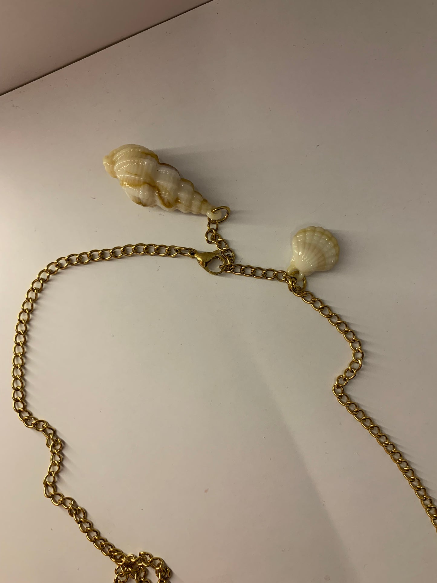 Seashells belt