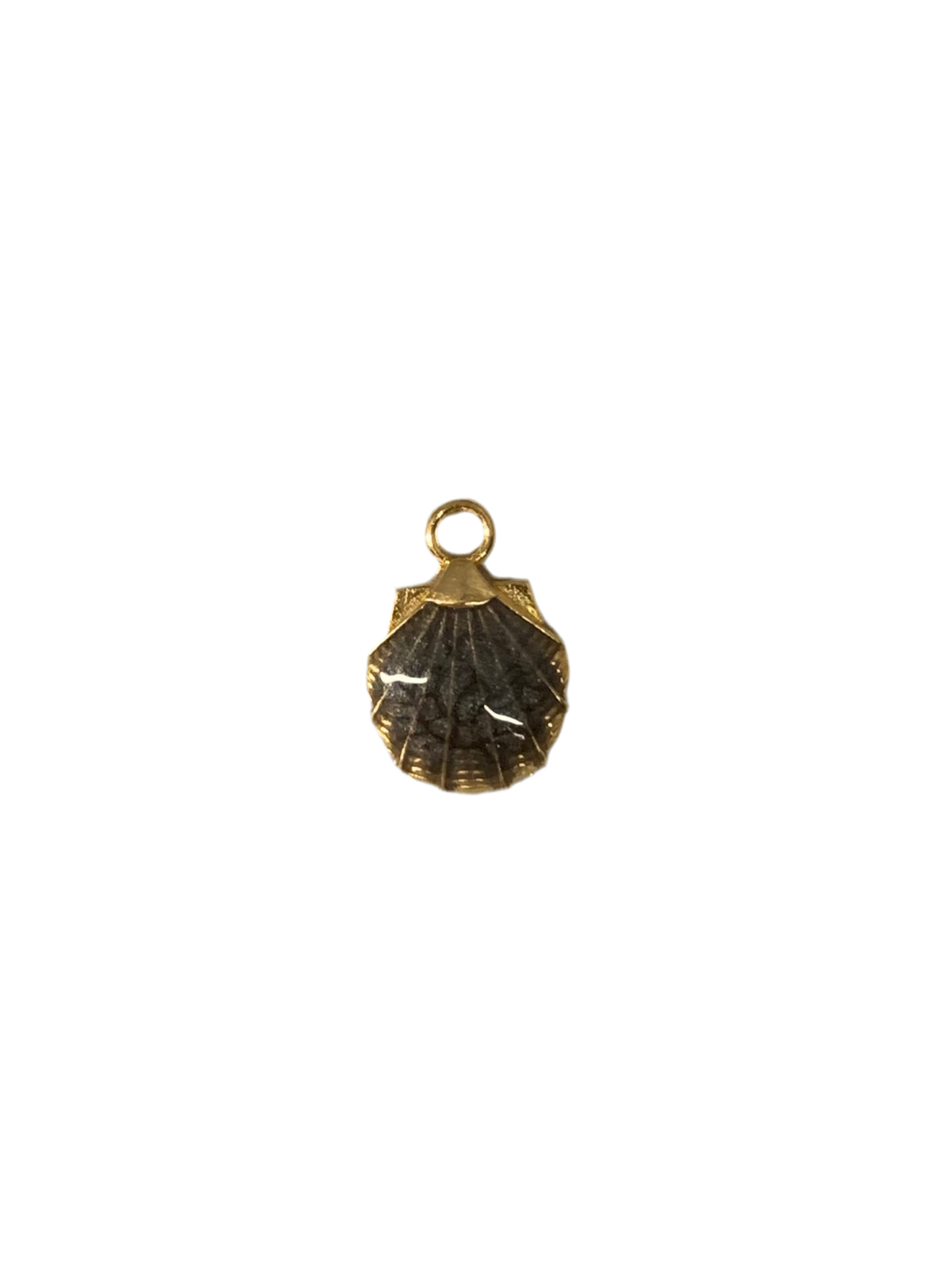 Shell