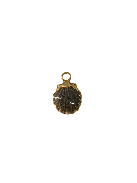 Shell