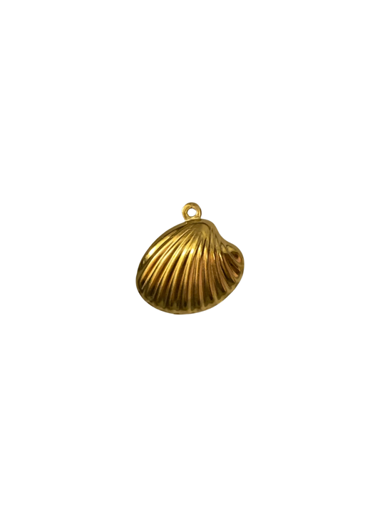 Big shell