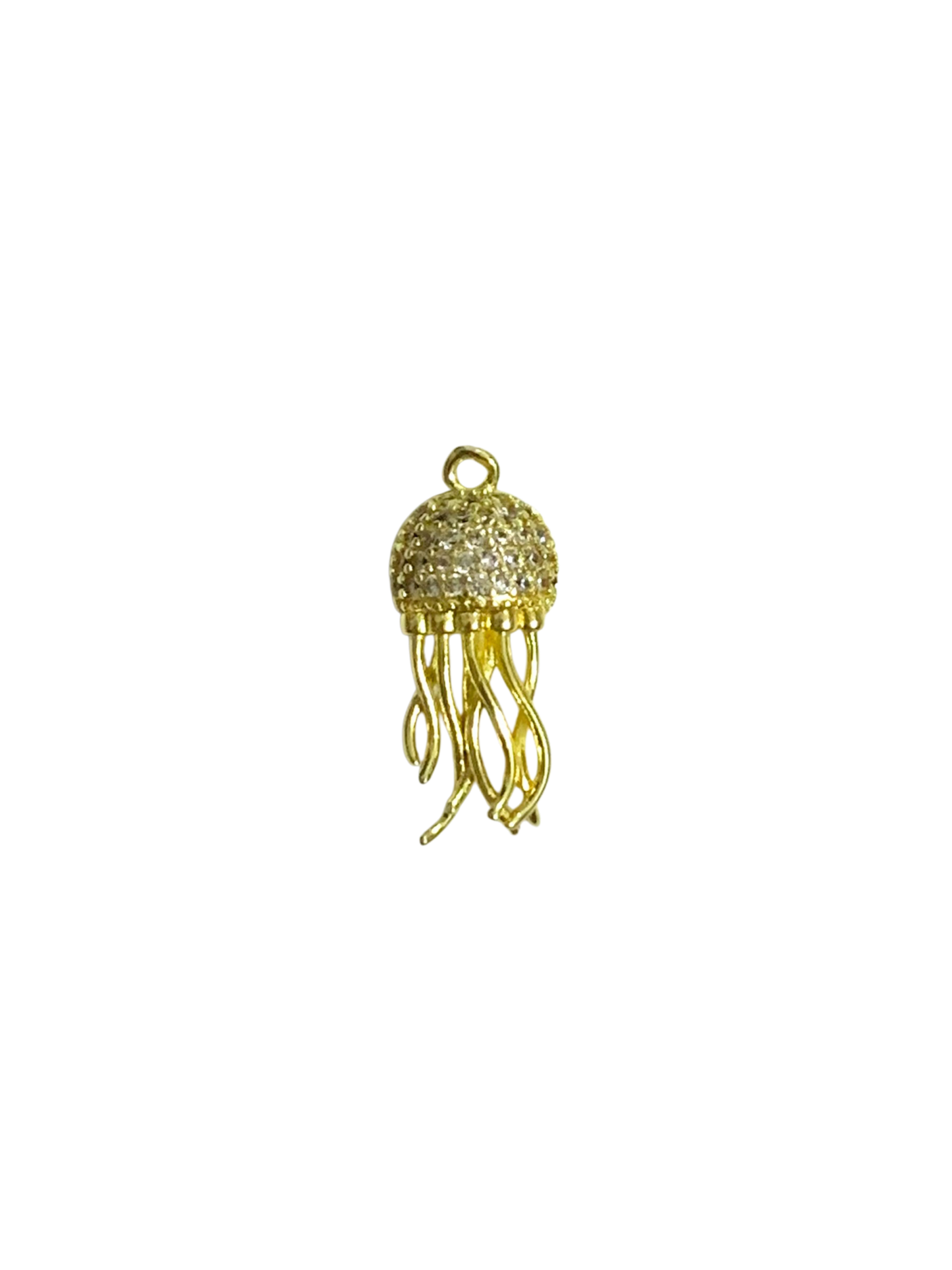 Jellyfish