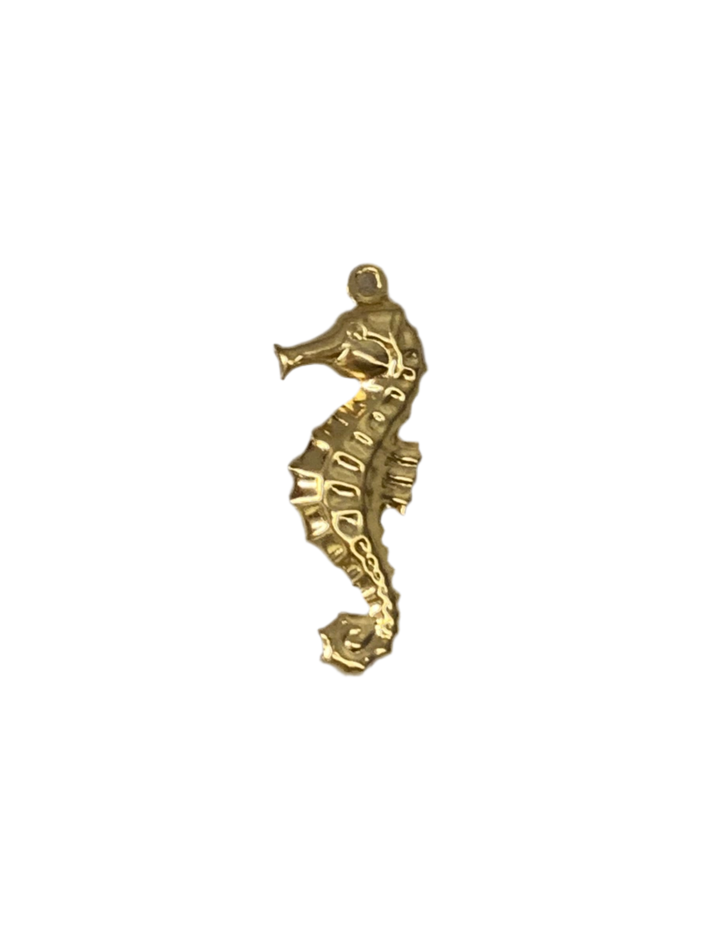 Seahorse