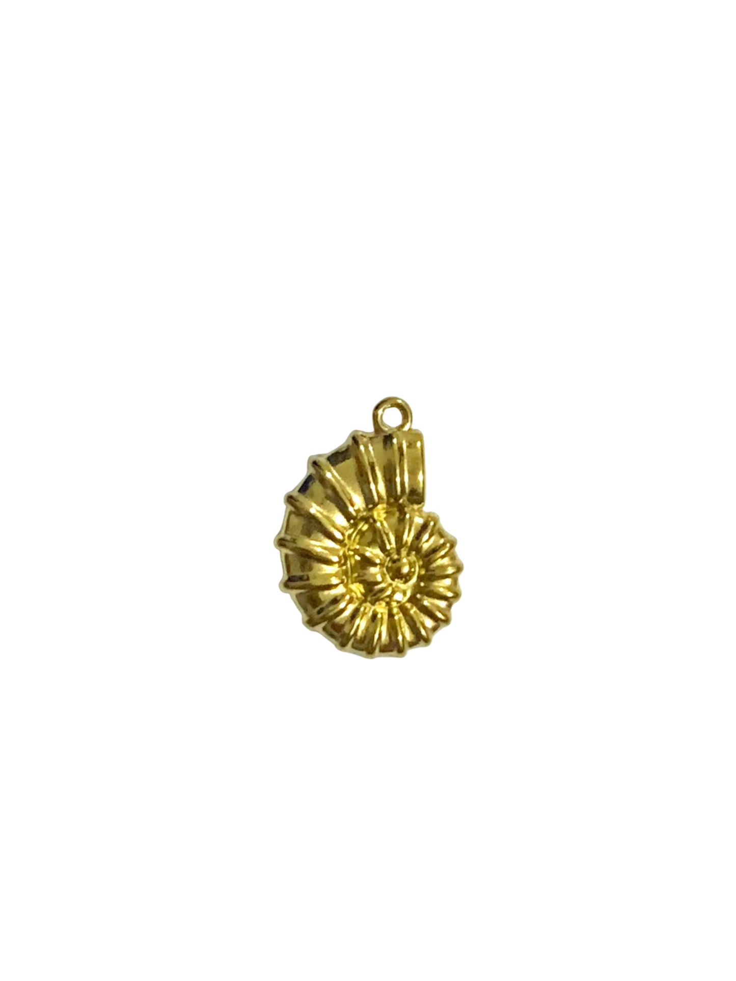 Spiral conch