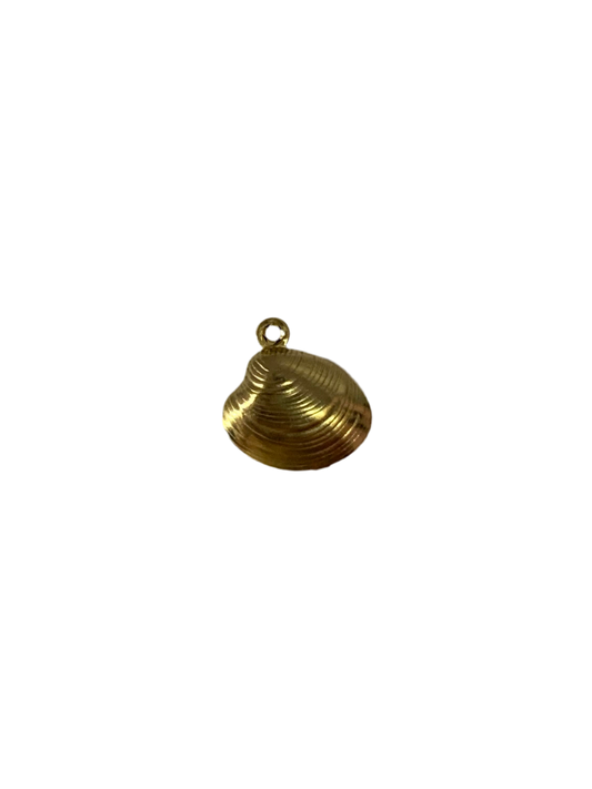 Golden Shell