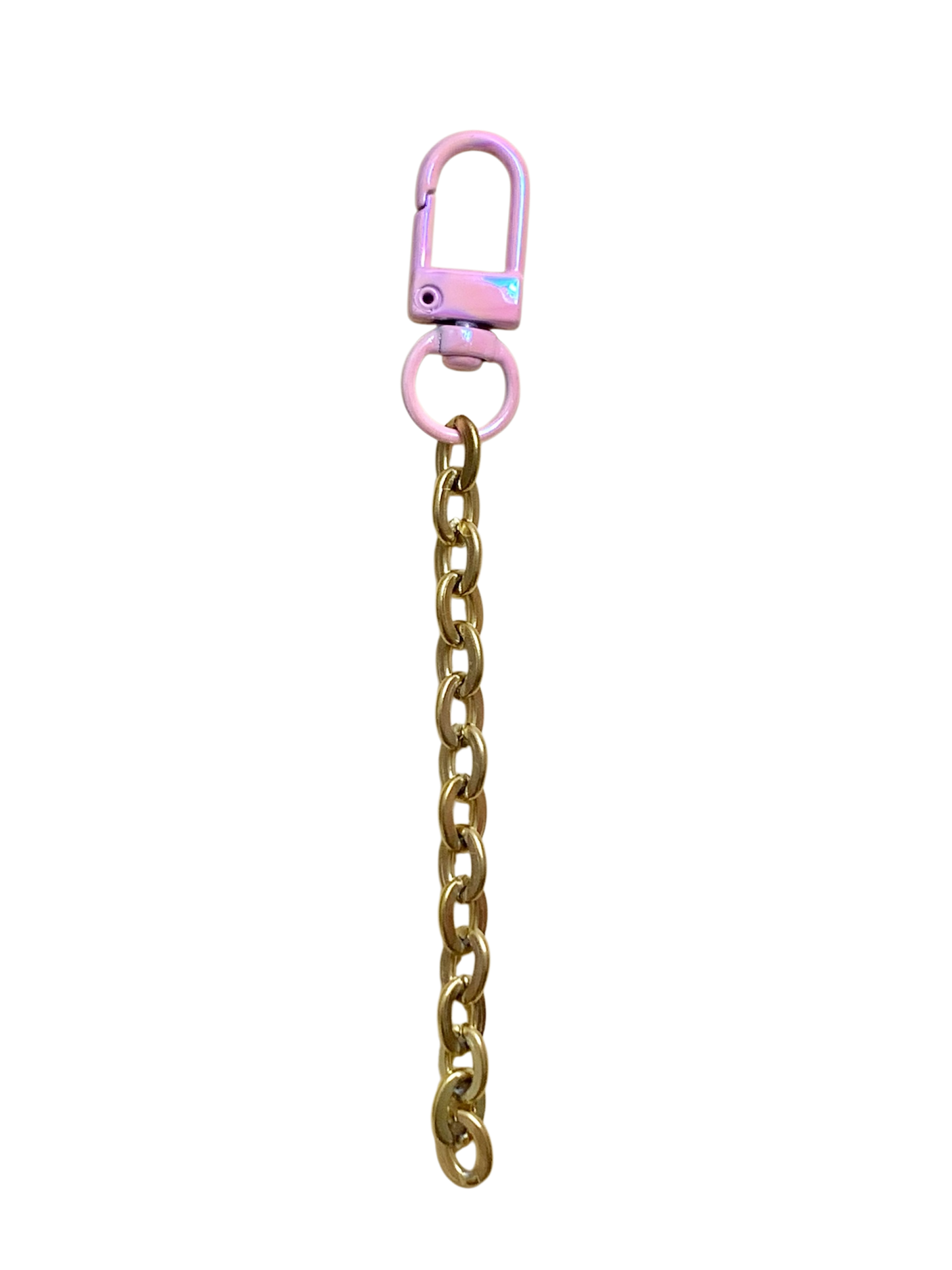 Stainless bagchain