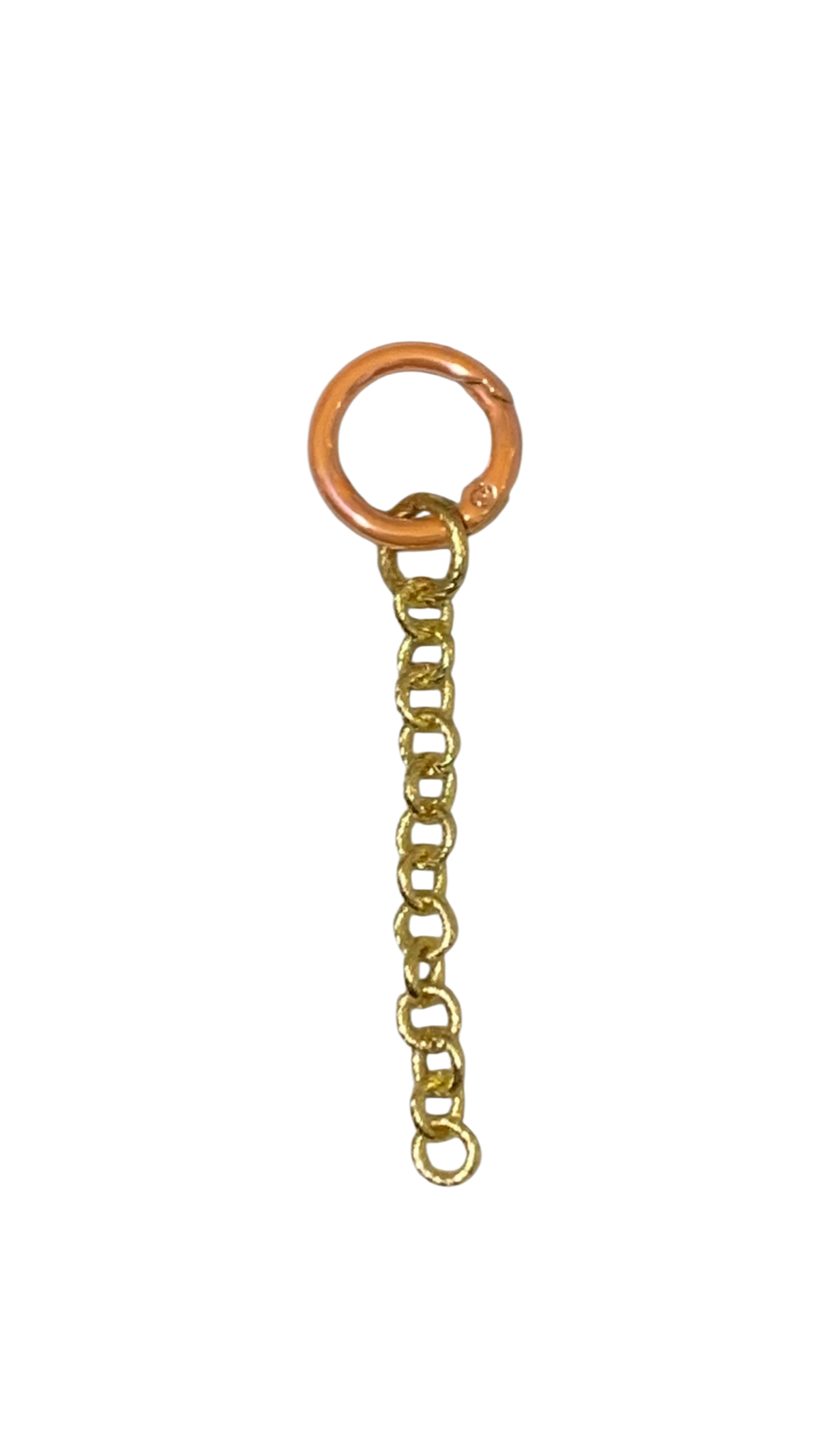 Bagchain