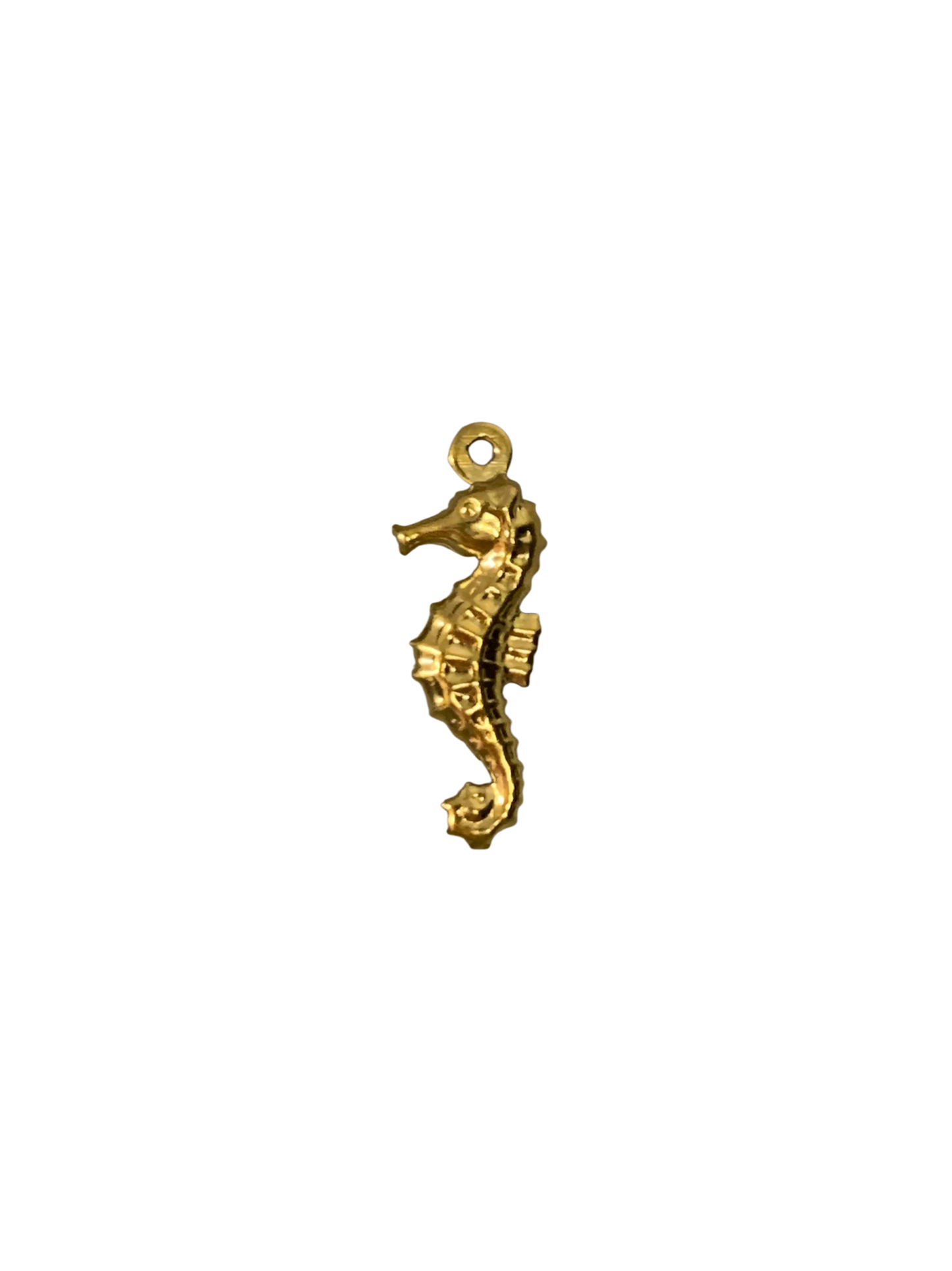 Seahorse
